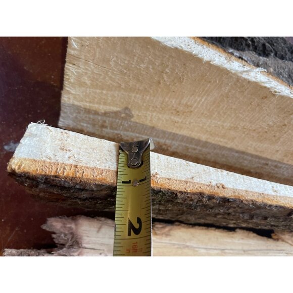 Basswood Rustic Bark Edge Wood Slabs For Crafts & DIY Projects - Picture 4 of 11